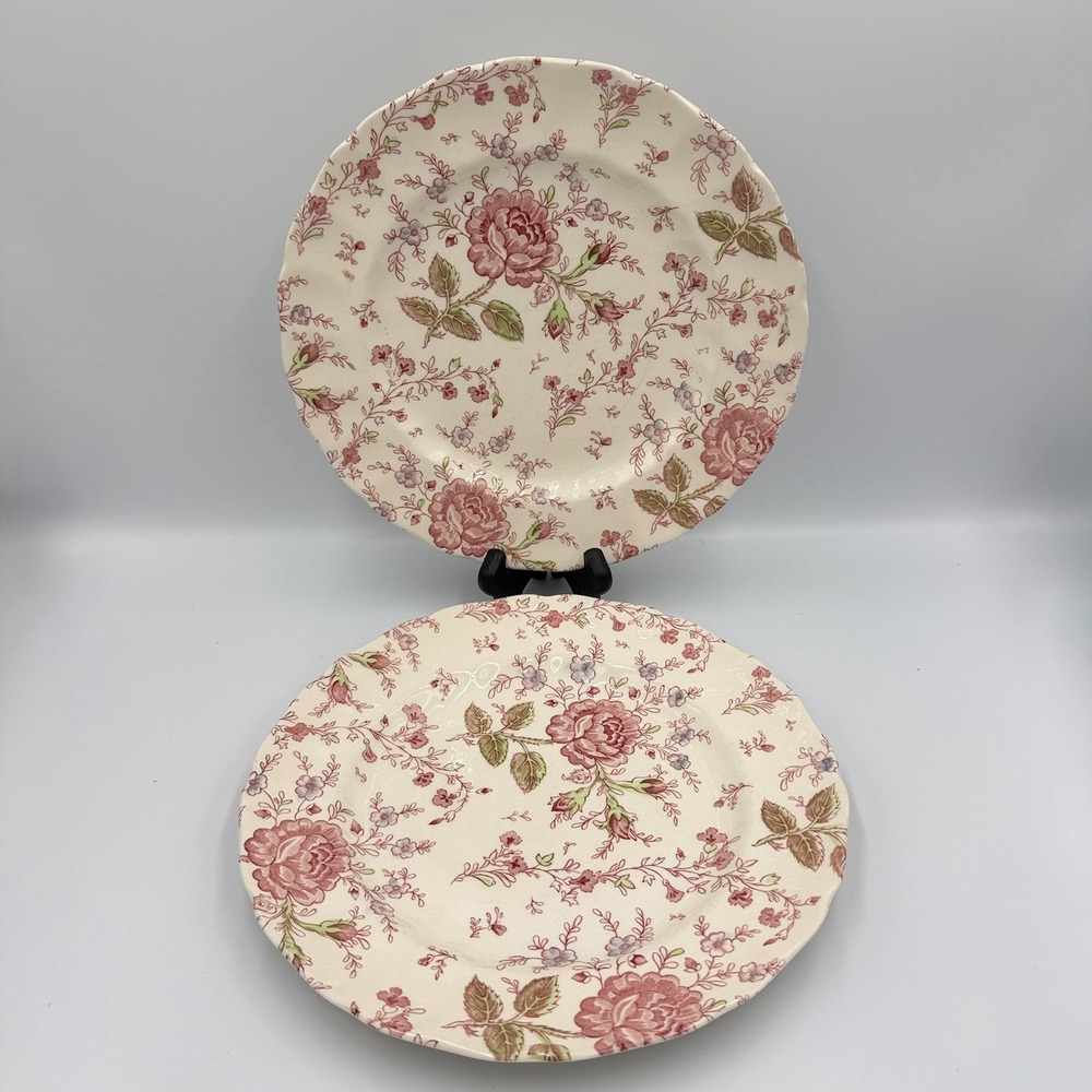 VTG Johnson Bros Rose Chintz Ironstone Dinner Plates 9 3/4" Set 2 Made England